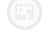 谐音歇后语大全，谐音歇后语大全500个