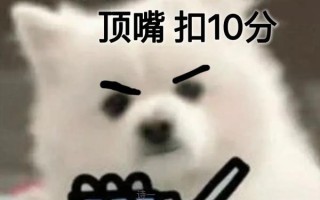 网上最火的表情包，网上最火的表情包图片