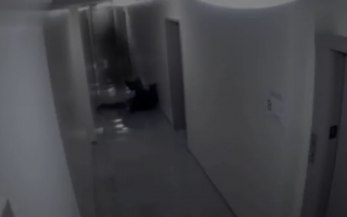 红衣小男孩真实事件叙述，红衣小男孩真实事件叙述视频
