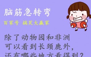 幽默而又深刻的笑话，幽默而又深刻的笑话段子