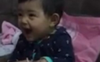 搞笑视频 爆笑小视频，搞笑视频 爆笑小视频合集